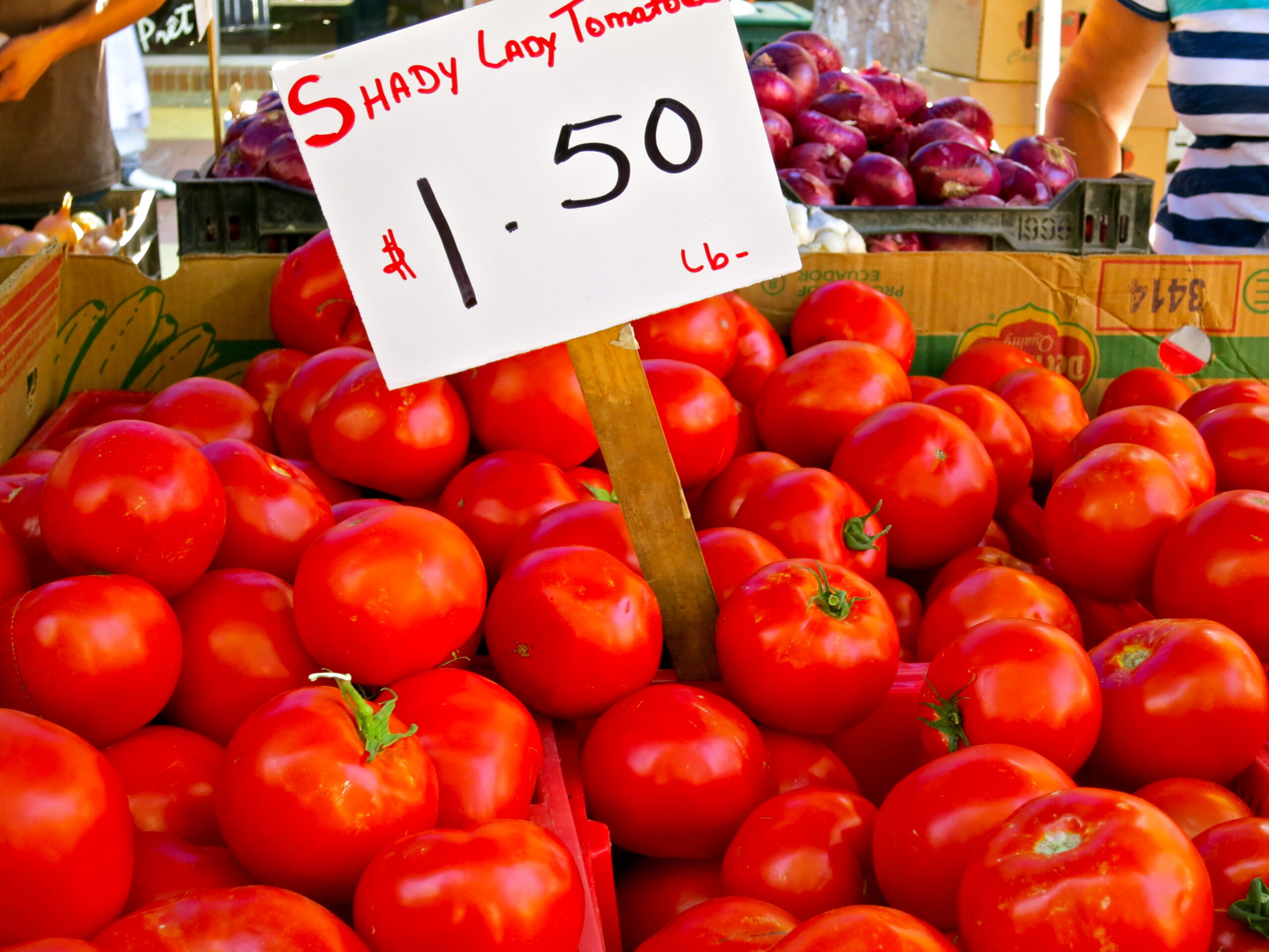 Fresh red tomatoes for sale at Lodi Farmers Market with a price sign of $1.50 per pound.
