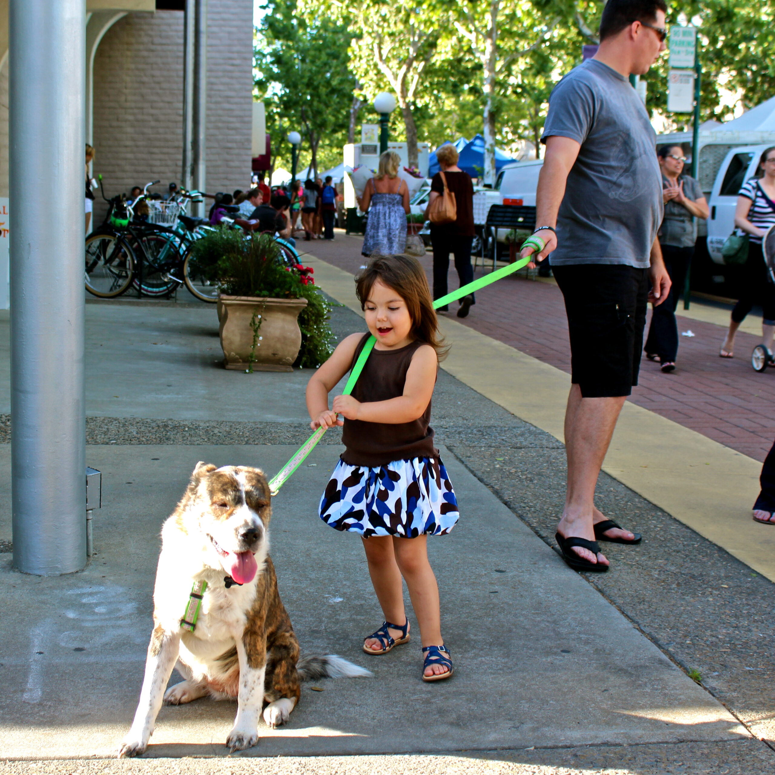 Young girl walking her dog on a leash during a community outdoor event with people and tents in the background.