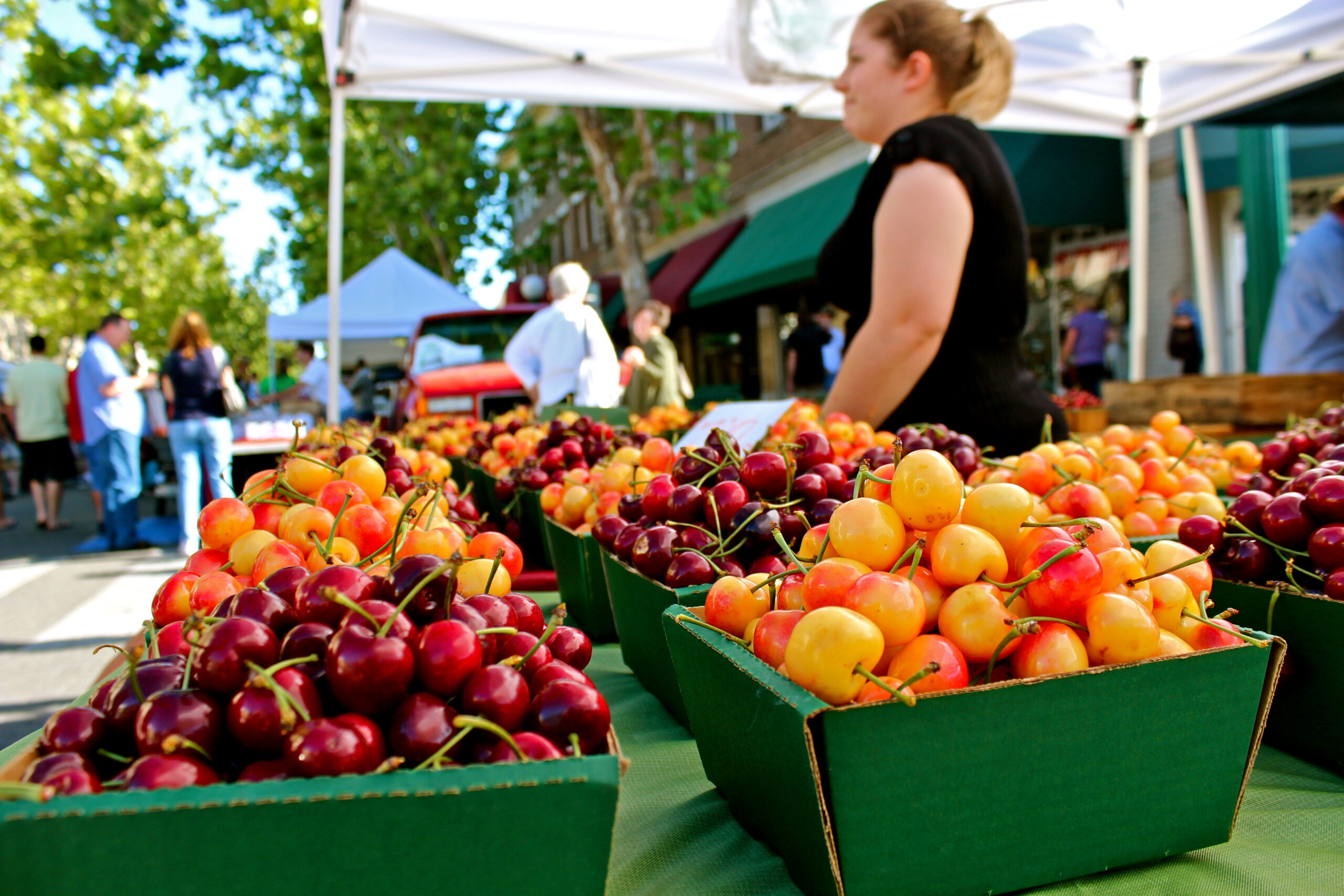 Fresh cherries at Lodi Winegrape Commission's outdoor market in Lodi, California.