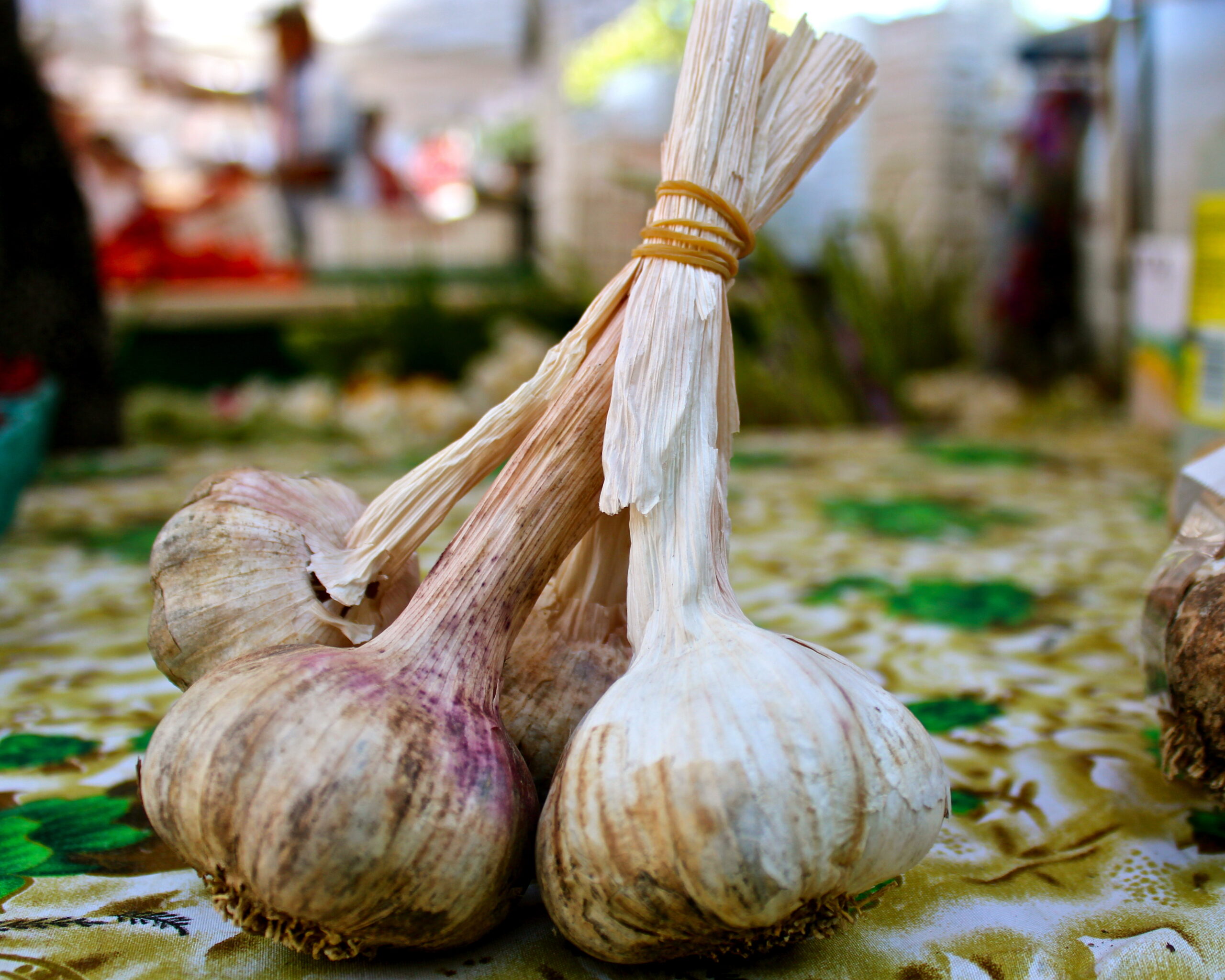 Fresh garlic bulbs displayed at Lodi Winegrape Commission farmers market for local produce.