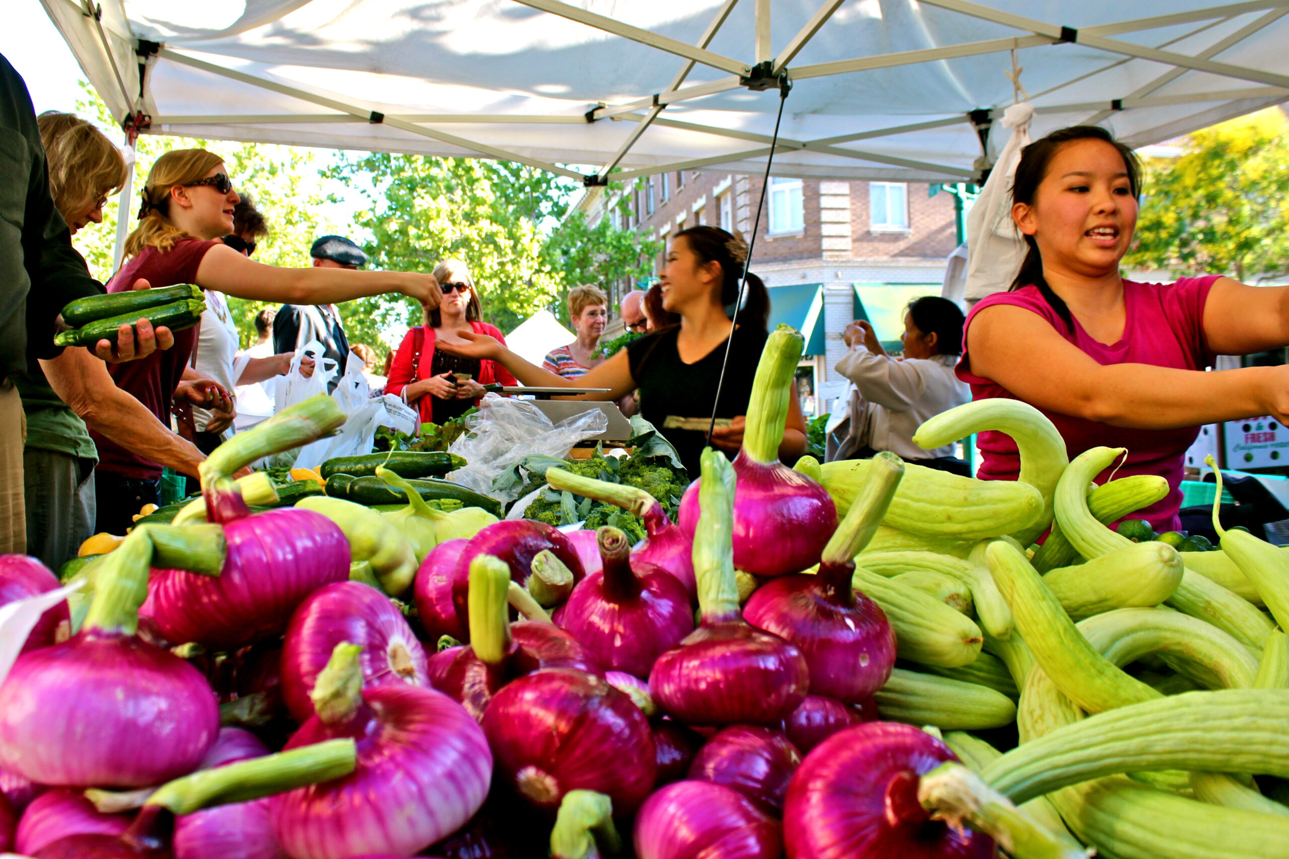 Vibrant display of fresh onions and squash at Lodi Winegrape Commission event in a lively outdoor market.
