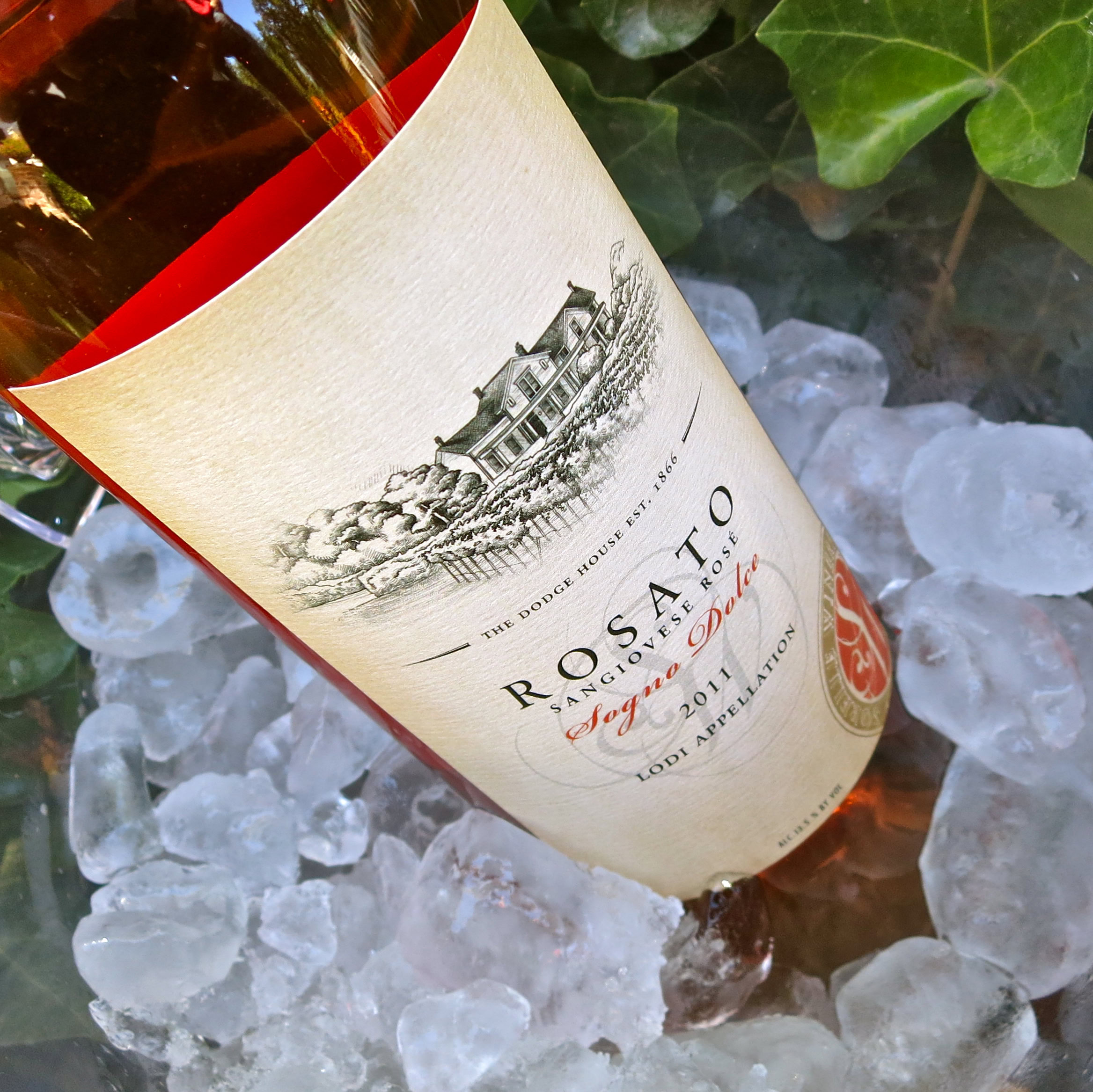 Bottle of Rosato wine from Lodi Winegrape Commission on ice with green leaves.