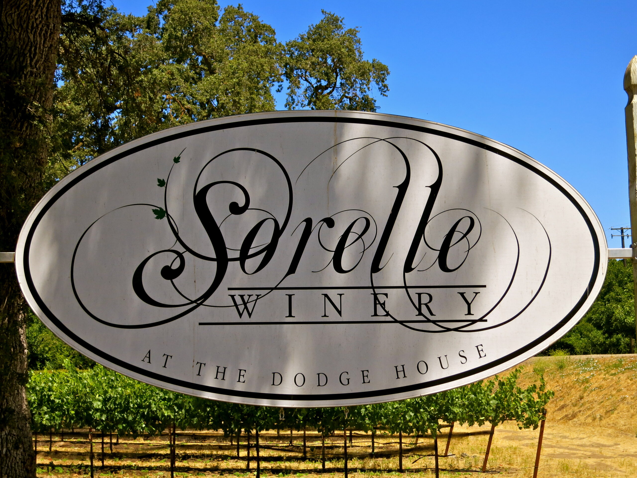 Sorello Winery sign at The Dodge House in Lodi, California, with lush vineyard background and clear blue sky.
