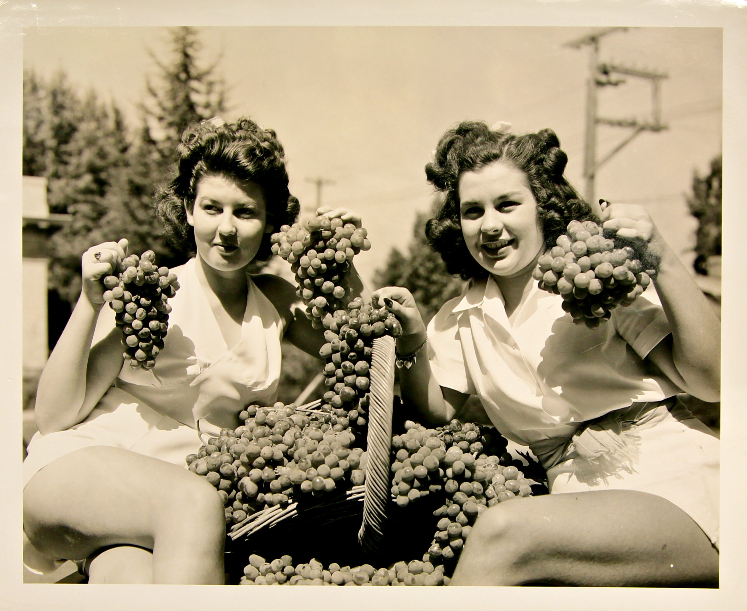 Two women harvesting grapes in a vintage black and white photo, showcasing Lodi winegrowing tradition and history.