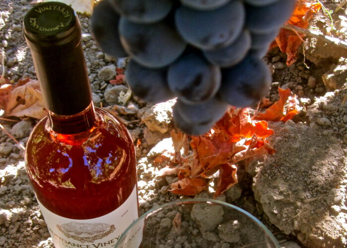Close-up of ripe dark grapes hanging from a vine with a wine bottle in the background.