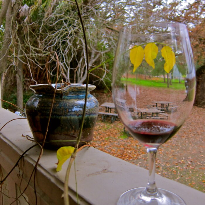 Glass of red wine with vineyard and autumn trees in background, showcasing Lodi wine region.