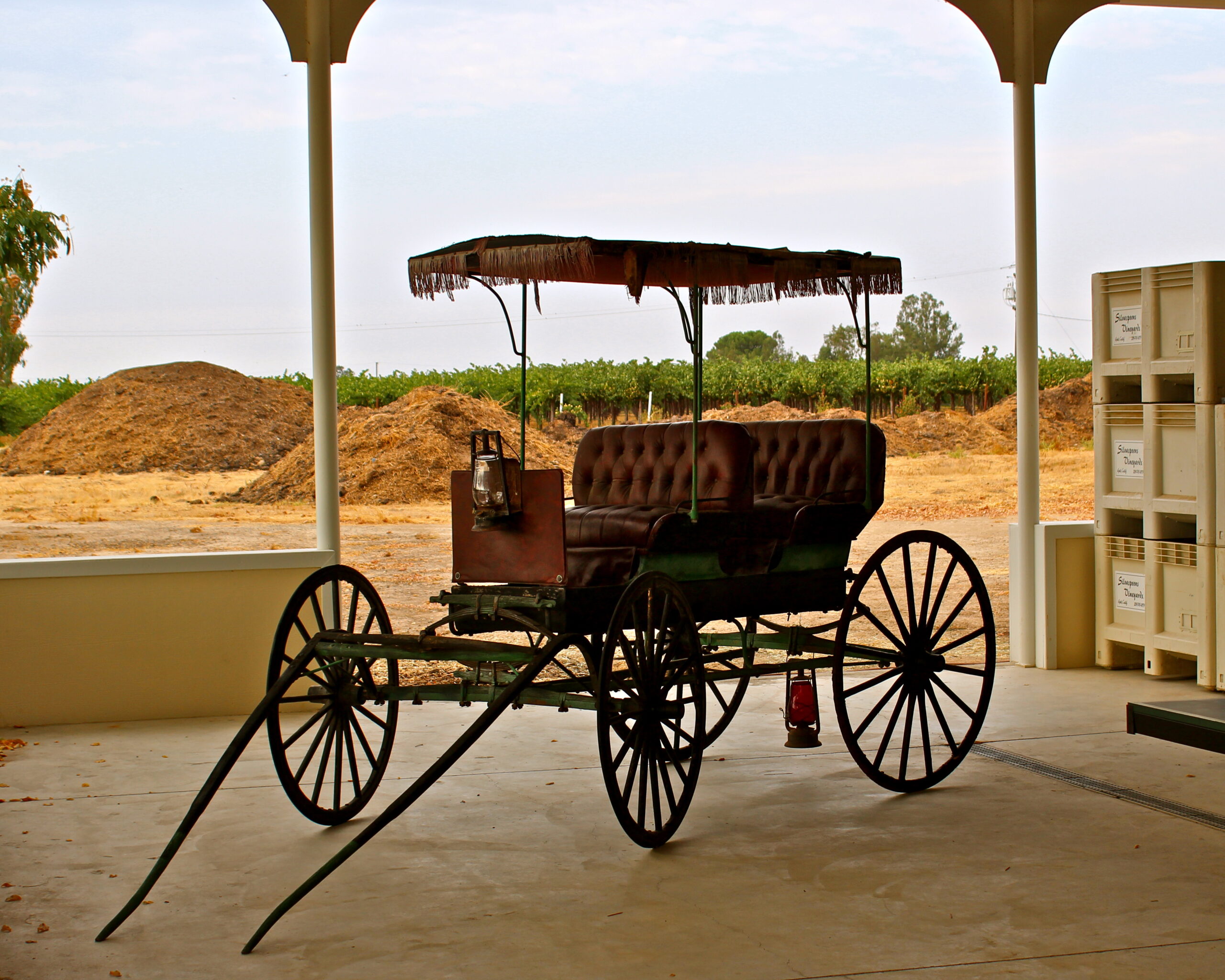 Antique horse-drawn carriage with canopy at Lodi wine region, showcasing historic transportation.