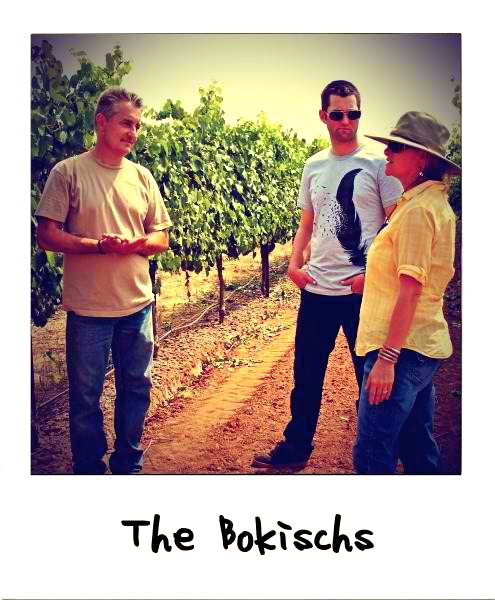 Three people in a vineyard, two men and a woman, engaged in conversation during a sunny day.