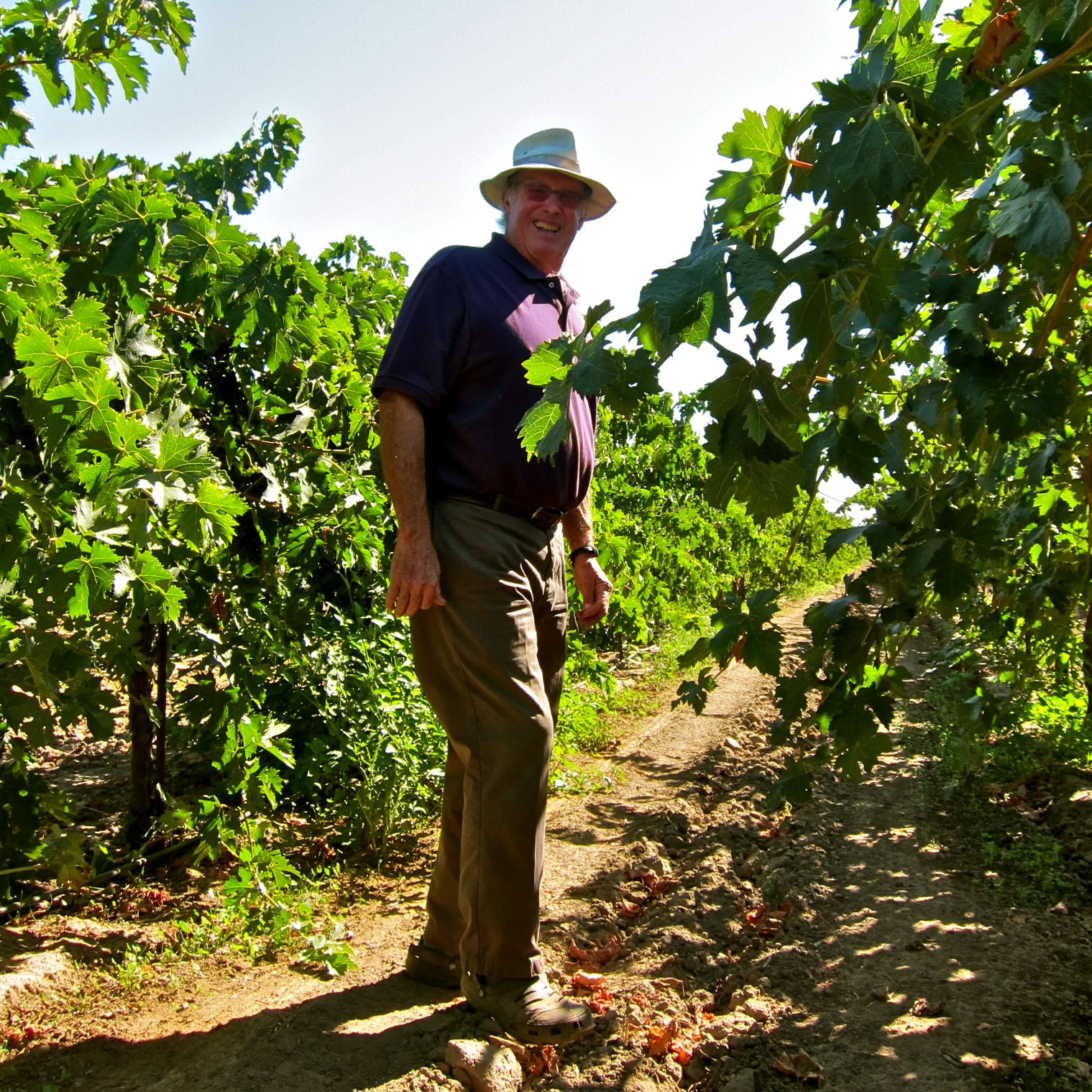 Man in vineyard with lush grapevines during daytime, smiling and wearing a hat and casual clothing.