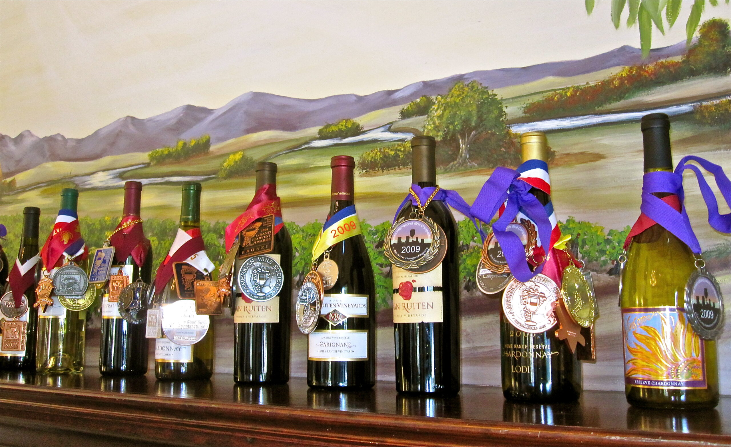 Collection of award-winning Lodi wines with medals and ribbons on bottles, showcasing local wine quality and diversity.