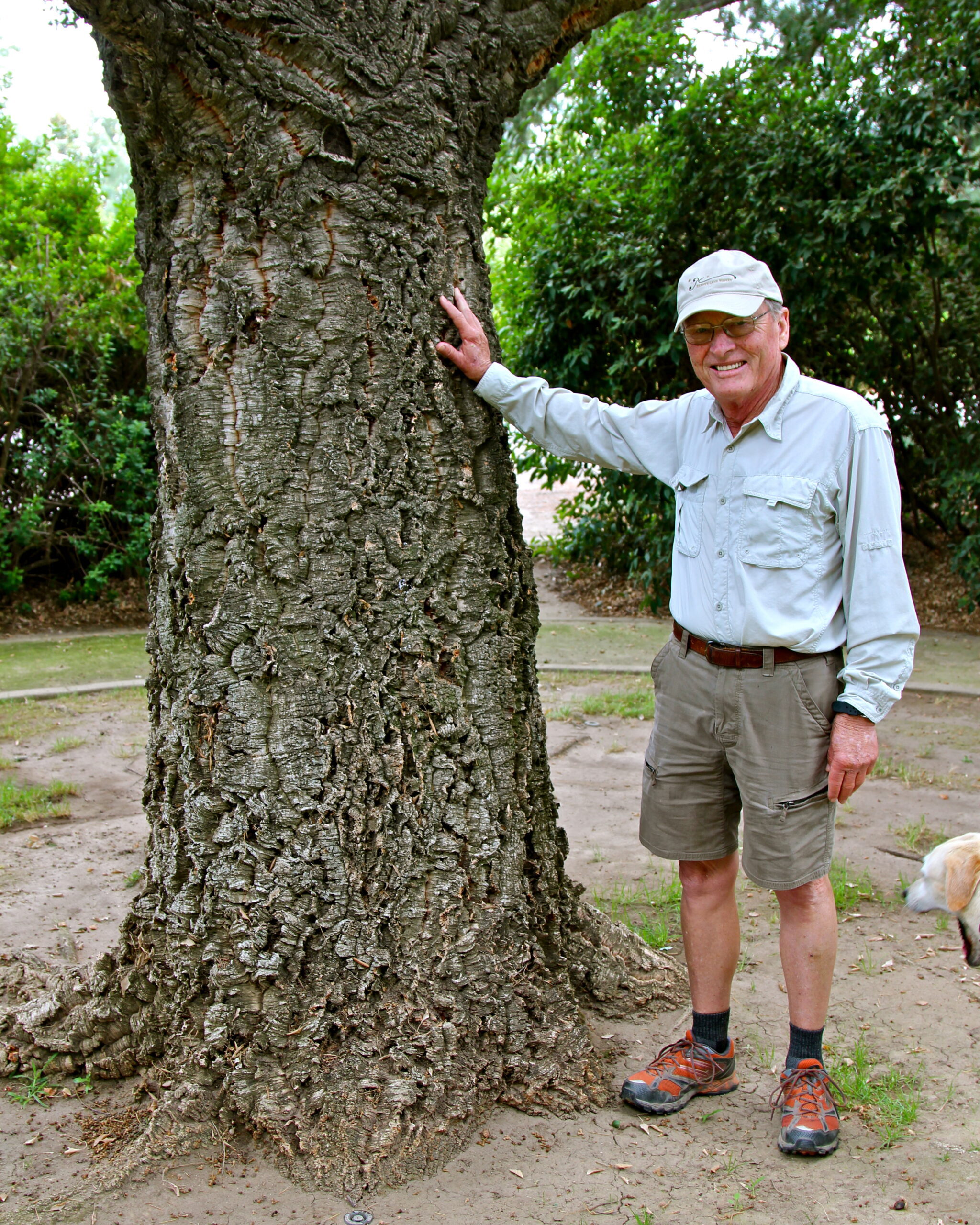 Smiling man in outdoor setting touching a large tree trunk, representing Lodi Winegrape Commission activities.