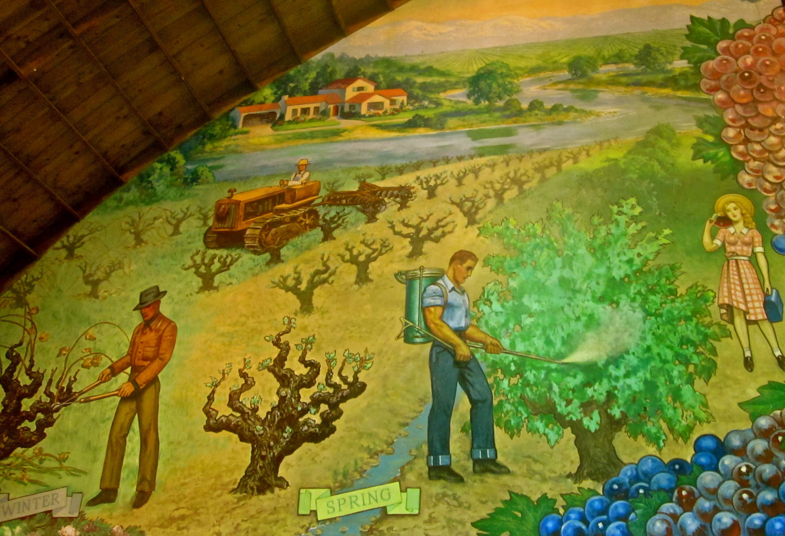Colorful mural depicting vineyard workers and grapevines in Lodi, California, celebrating wine grape harvest seasons.