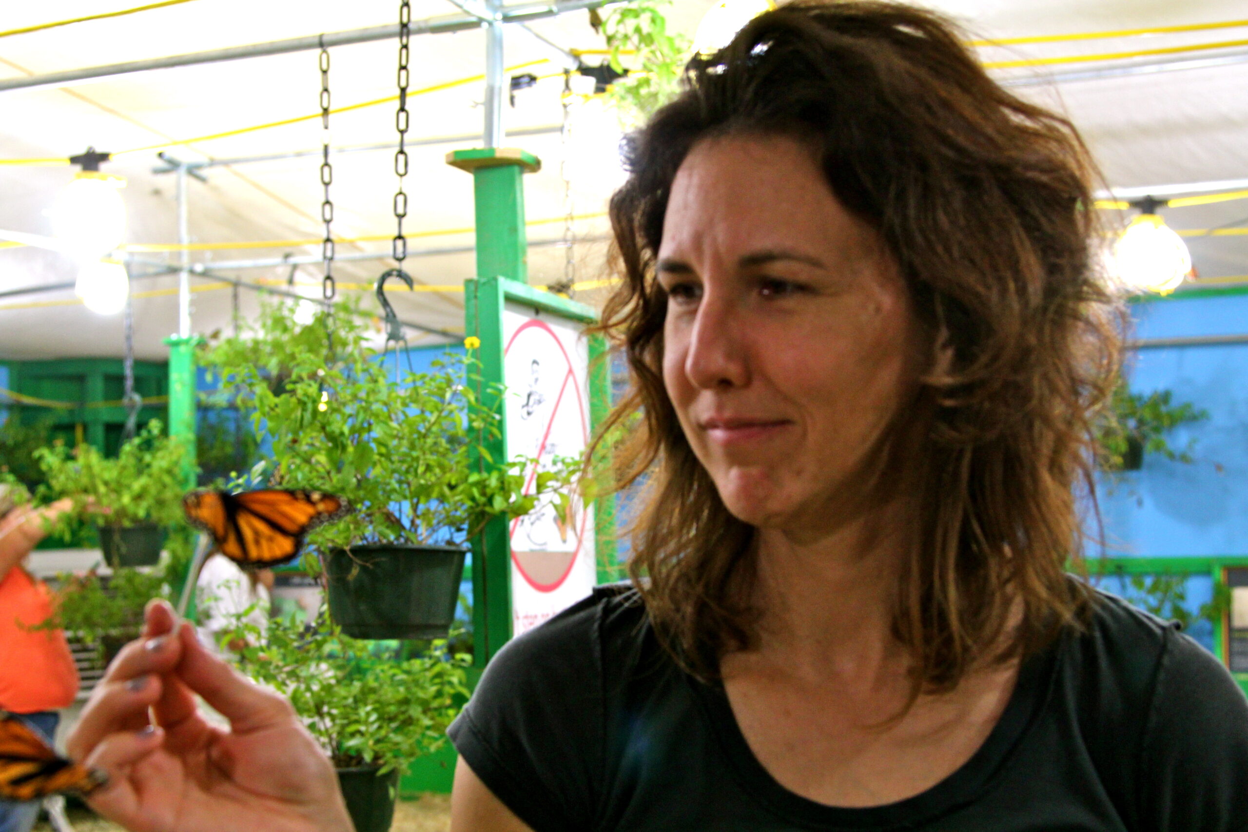 Woman releasing butterfly at Lodi Winegrape Commission event, surrounded by grapevines and greenery.