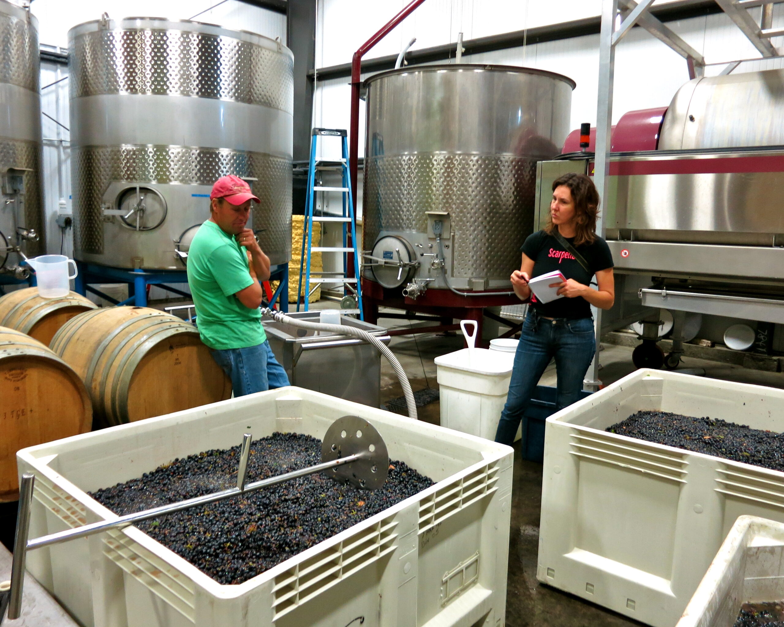 Two workers in a winery processing grapes with large fermentation tanks and containers of harvested grapes.