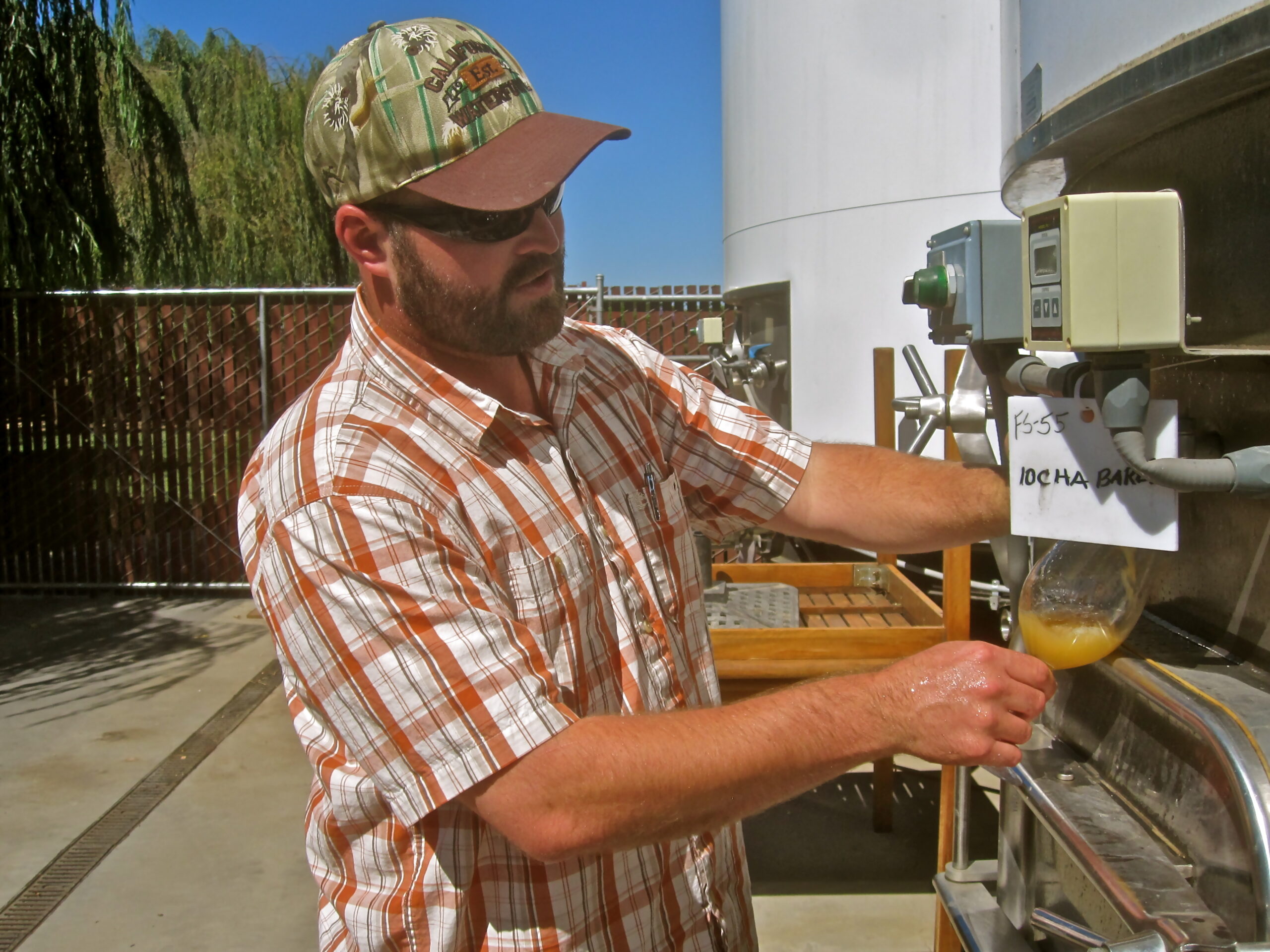 Man pouring wine from a stainless steel tank during grape harvest at Lodi winery.