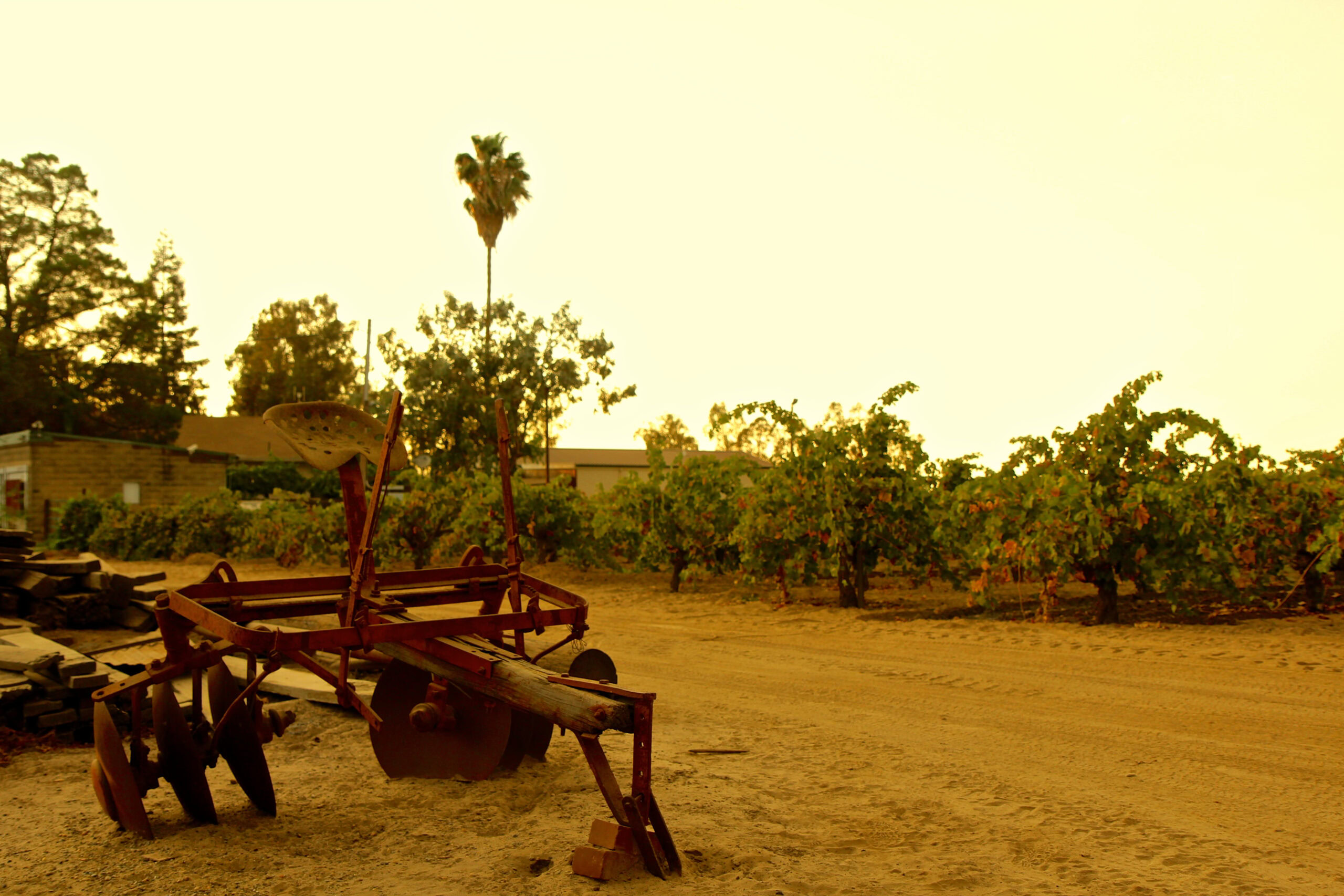 Rustic vineyard scene with farming equipment and grapevines in Lodi, California.
