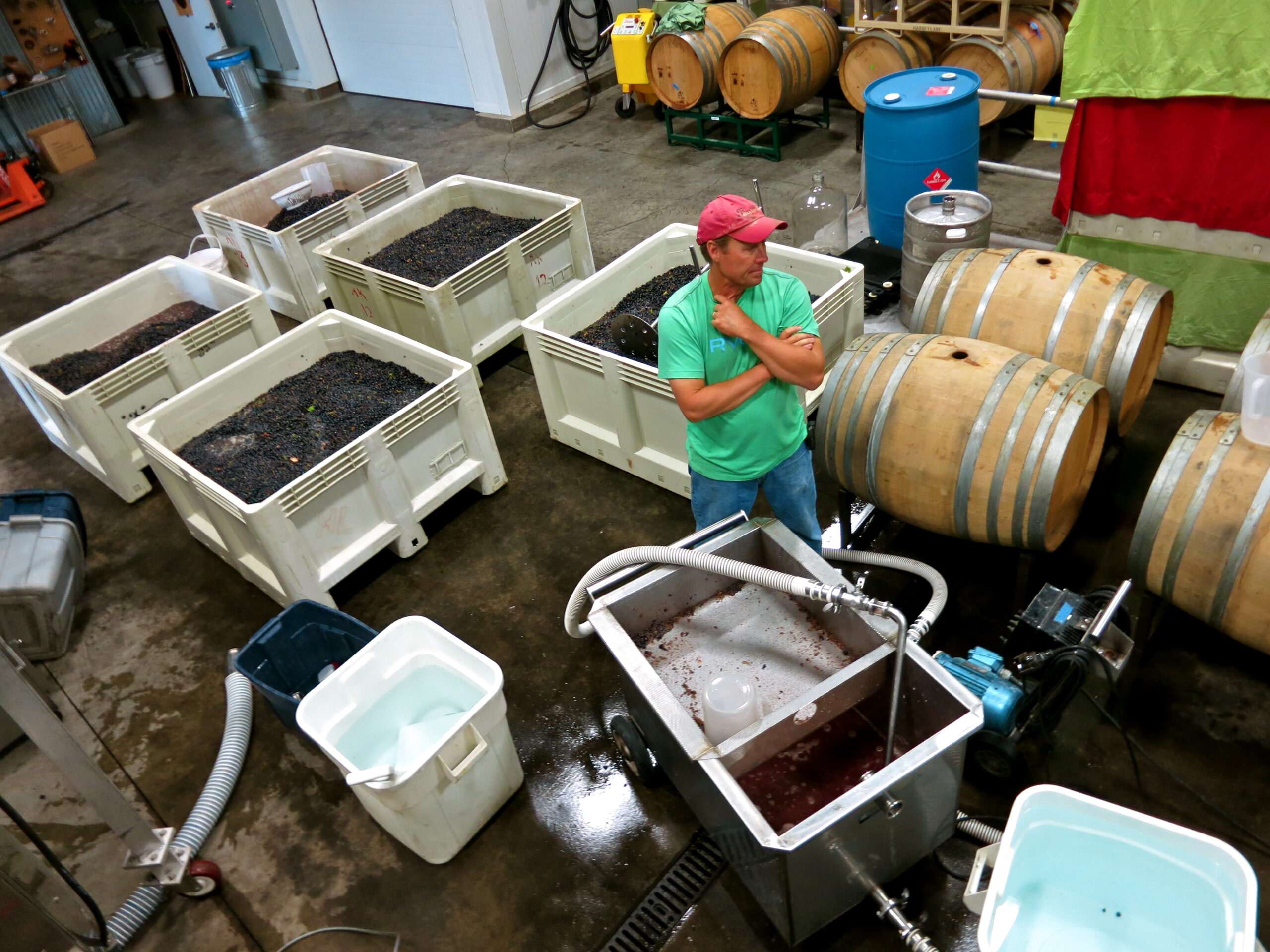Winery worker inspecting wine fermentation tanks at Lodi Winegrape Commission facility.