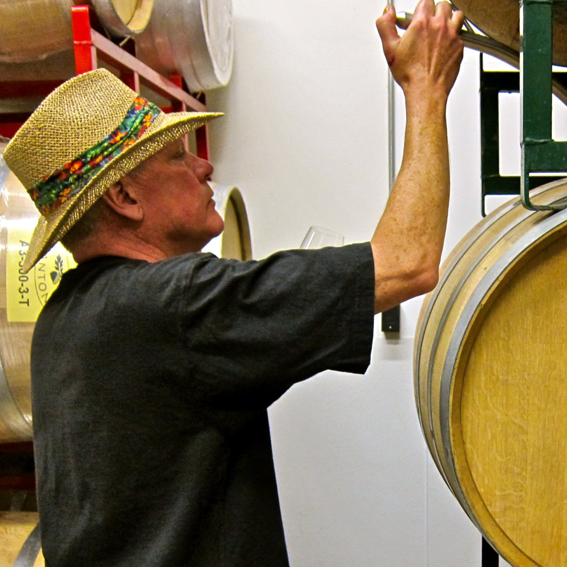 Winemaker inspecting wine barrels at Lodi Winegrape Commission facility.