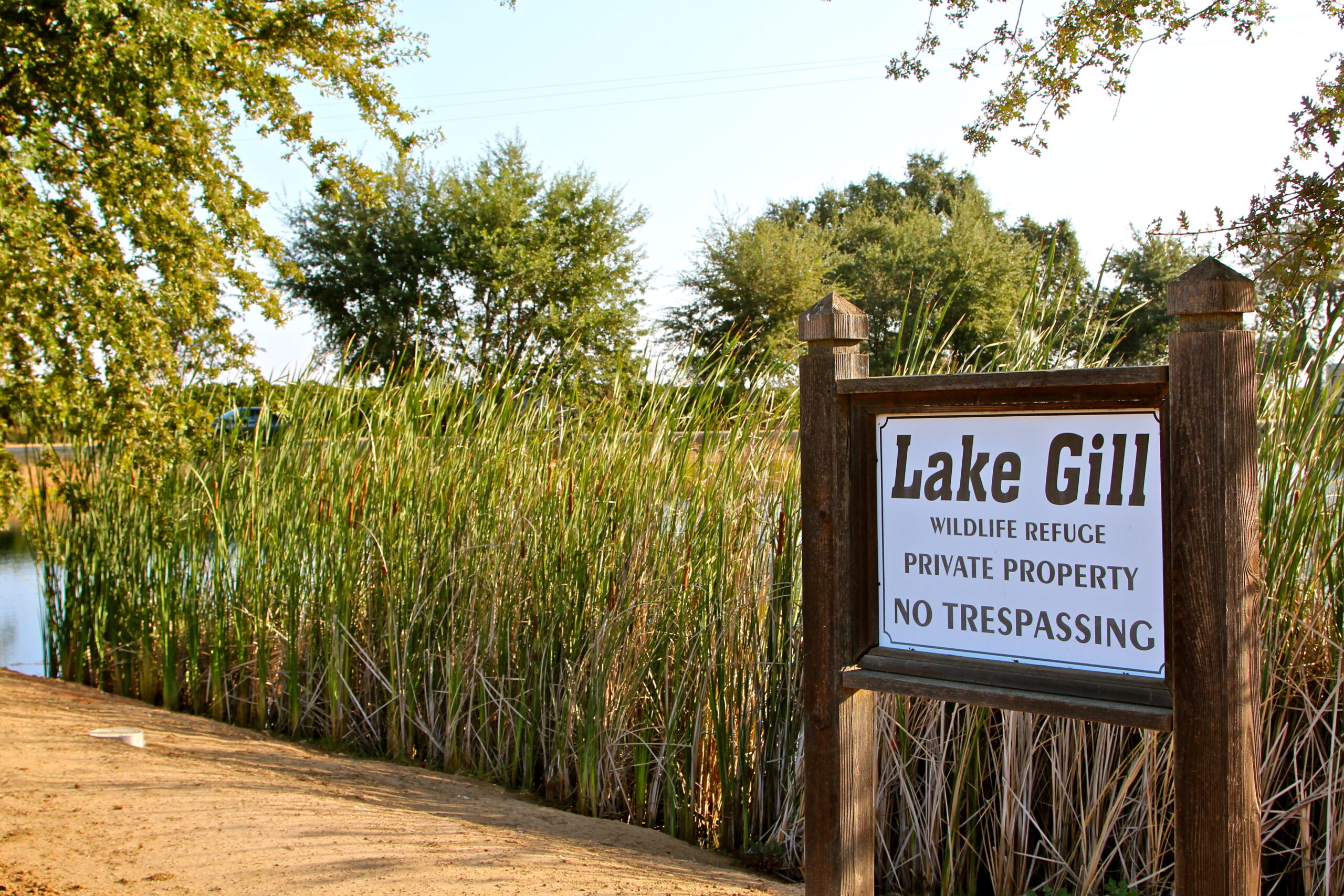 Lodi Winegrape Commission vineyard with Lake Gill Wildlife Refuge sign and lush greenery.