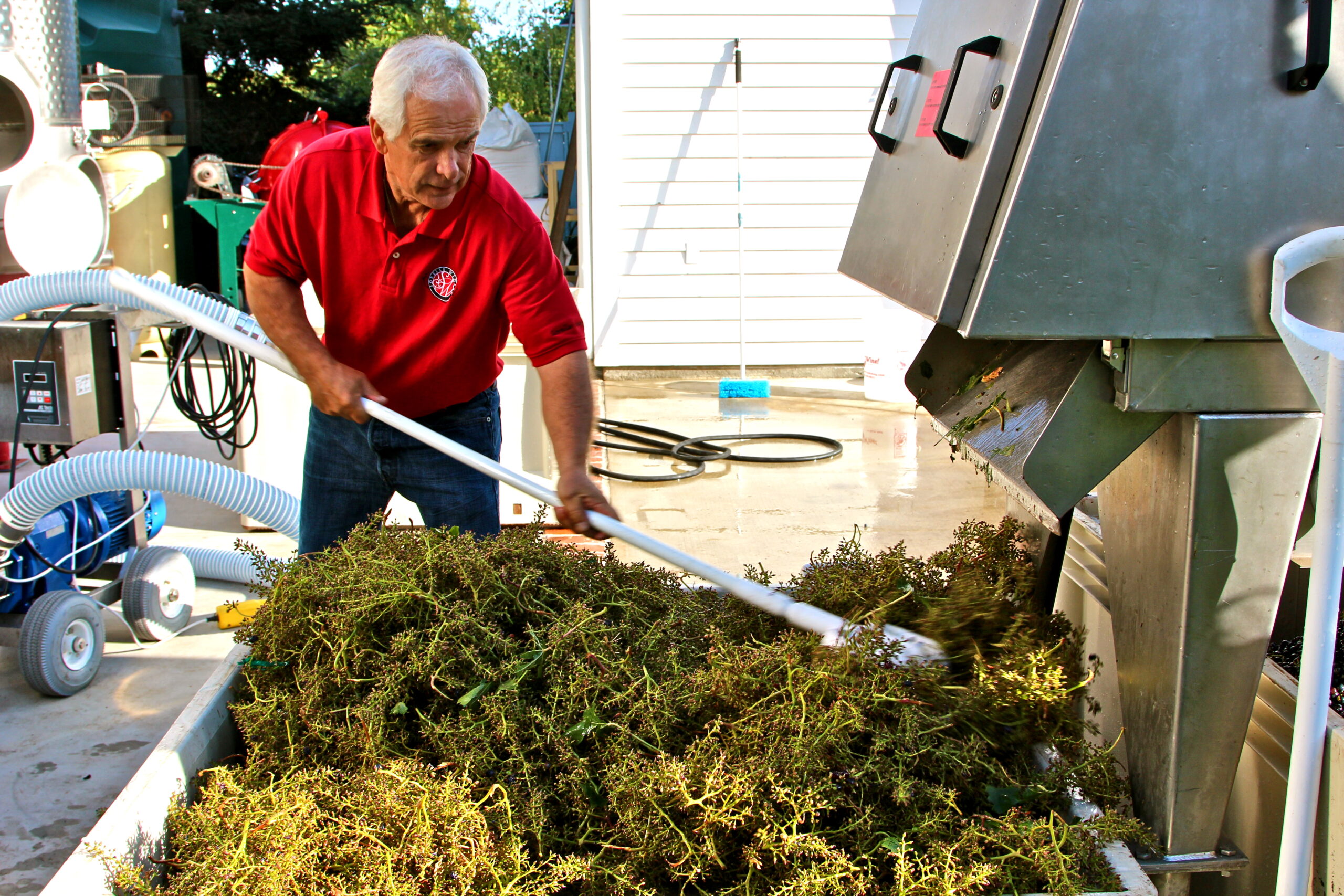 Farmer harvesting winegrapes in Lodi, California using specialized equipment for quality wine production.