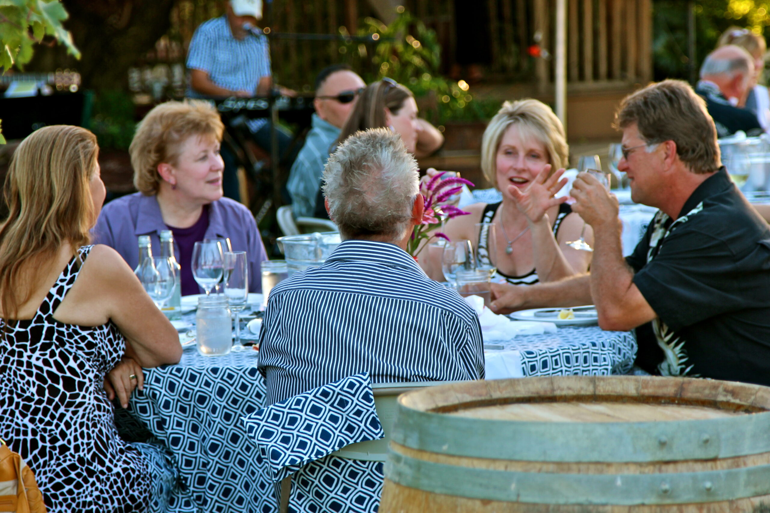Group of people enjoying outdoor wine tasting event with Lodi wines and scenic vineyard background.
