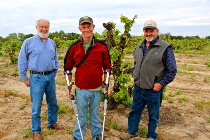 Three men standing in a vineyard with grapevines, smiling, during daytime in Lodi, California.