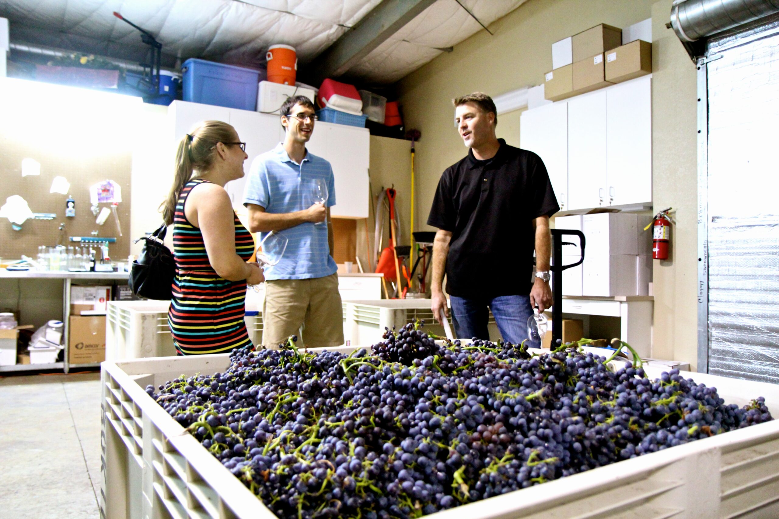 Group of people discussing wine grapes in a winery with a large crate of grapes in the foreground.