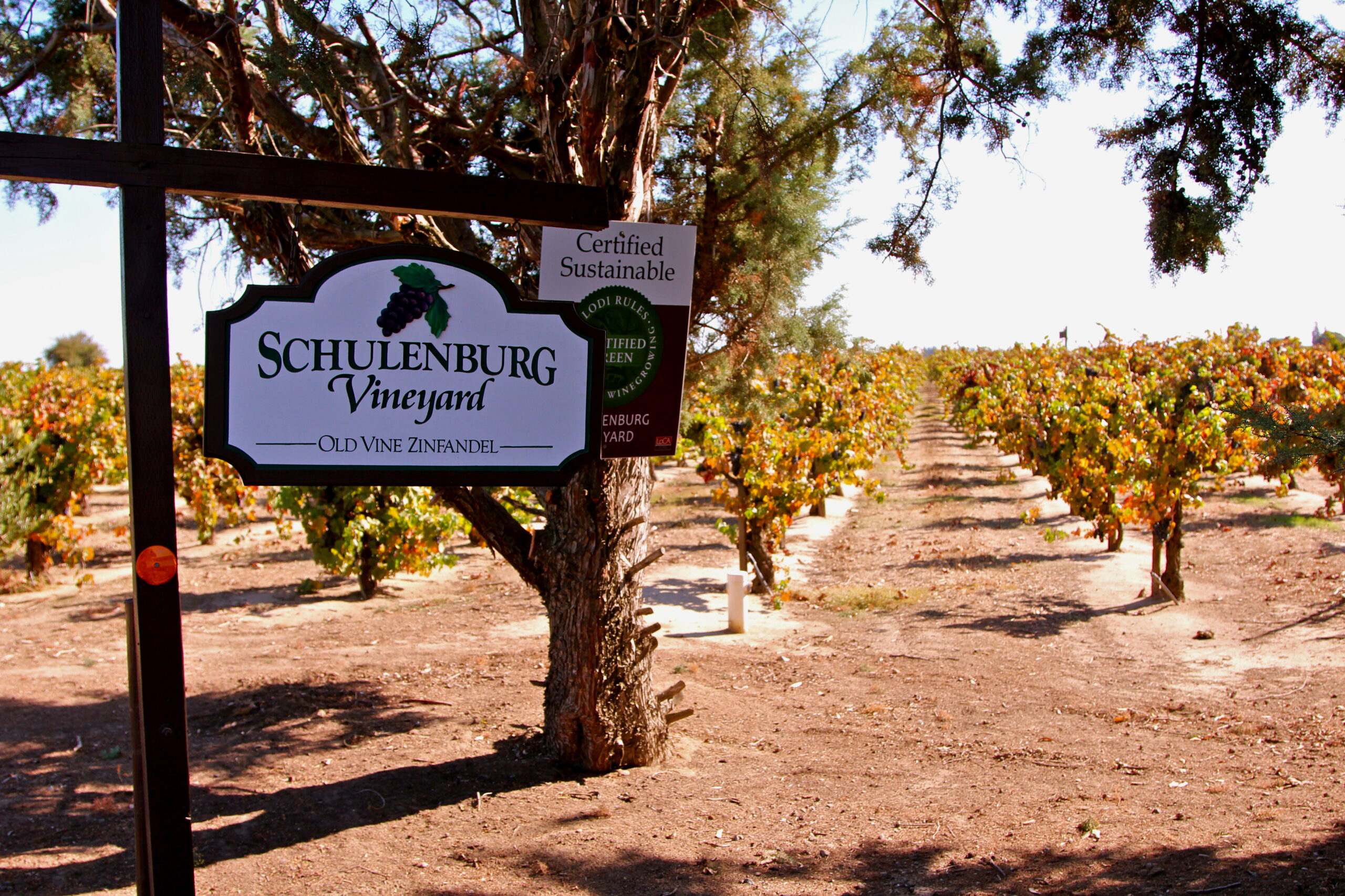 Vineyard sign at Schulenburg Vineyard in Lodi, California, showcasing sustainable winegrowing practices.