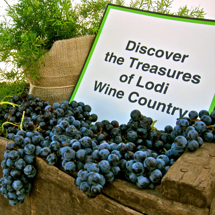Lodi wine grapes with a sign promoting Lodi Wine Country treasures.