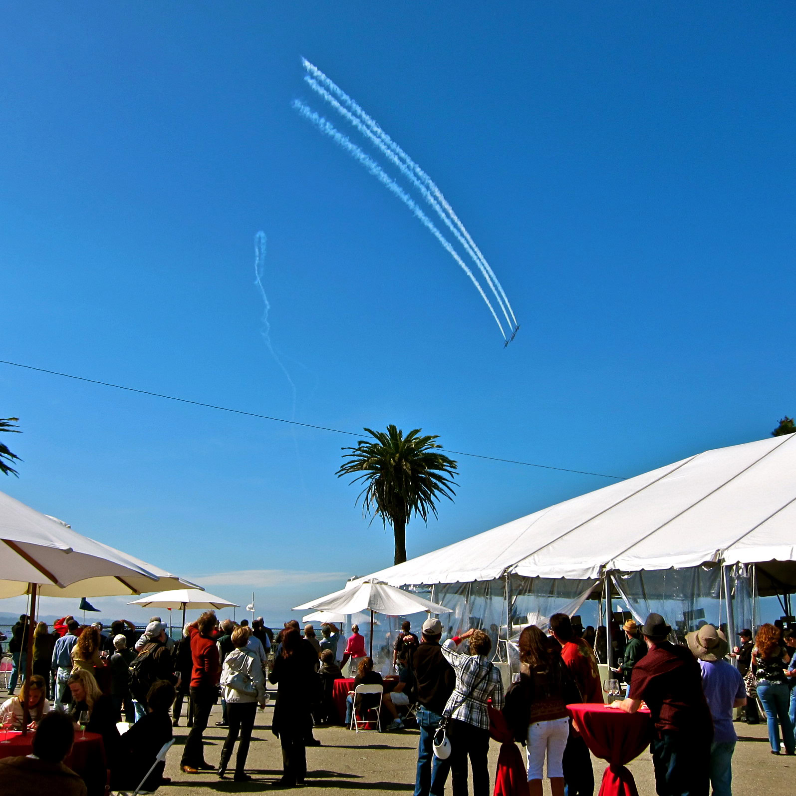 Crowd at Lodi Winegrape Commission event with tents and palm trees under a blue sky.