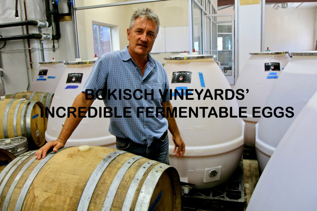 Man in a fermentation room with wine barrels and fermentation tanks at Lodi Winegrape Commission.