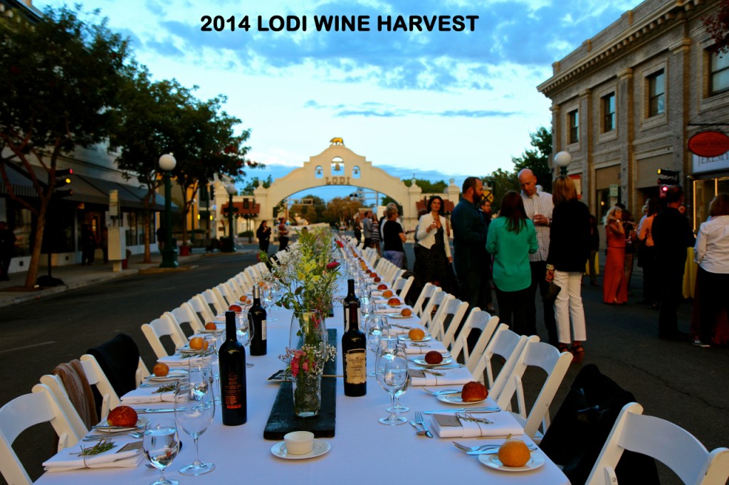 Guests enjoy the 2014 Lodi Wine Harvest event with a long table set for dinner in downtown Lodi, California.