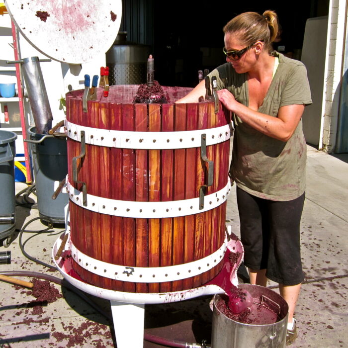 Woman pressing grapes in a traditional wine press at Lodi Winegrape Commission event.