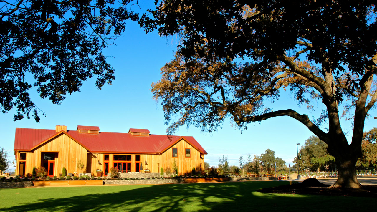 Scenic view of a vineyard with a wooden building and large oak trees in Lodi, California.