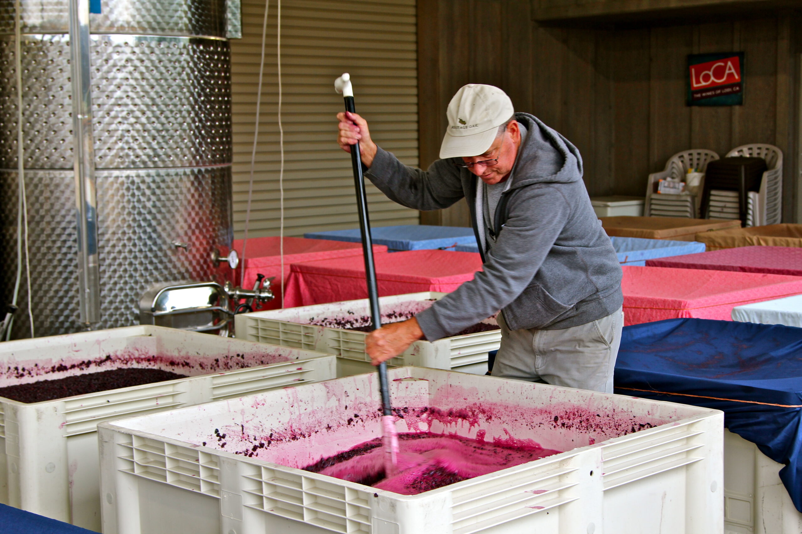 Winemaker stirring crushed grapes in a large fermentation tank at Lodi Winegrape Commission.