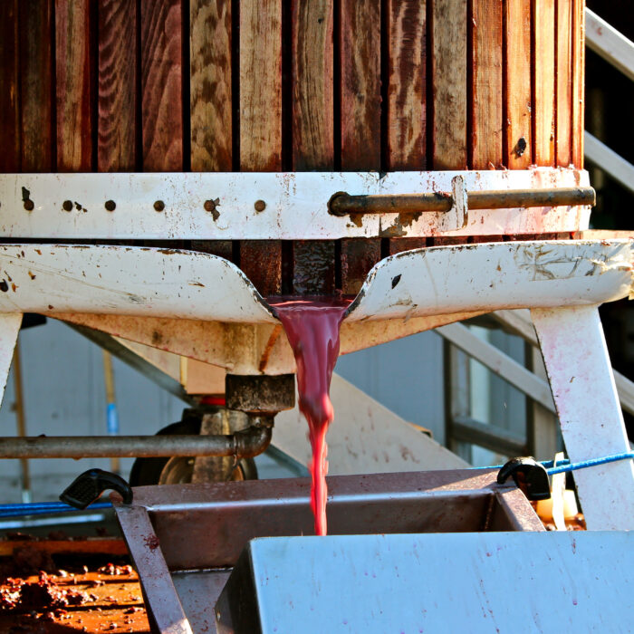 Wine grape juice flowing from a wooden container during harvest in Lodi, California.