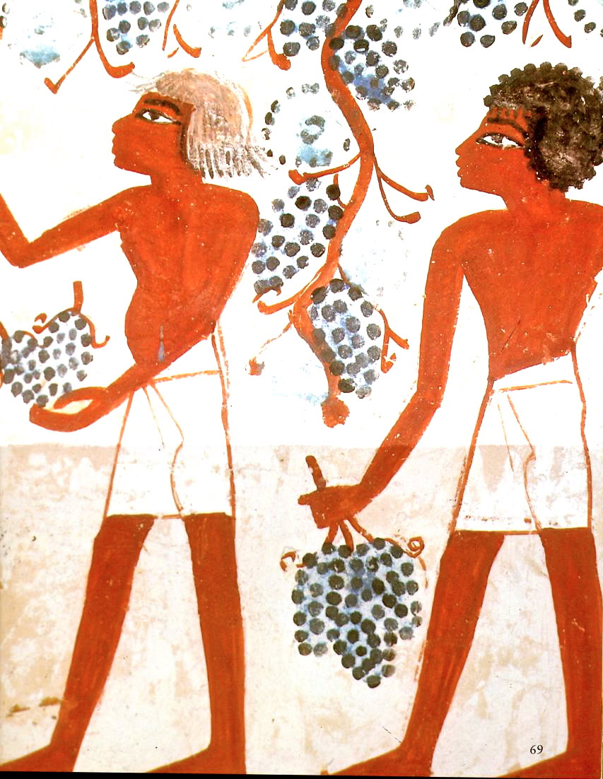 Ancient-style painting of two figures harvesting grapes for wine in a vineyard scene.