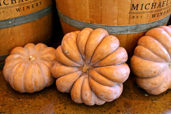 Pumpkins displayed at Lodi Winegrape Commission, showcasing local harvests and seasonal produce.
