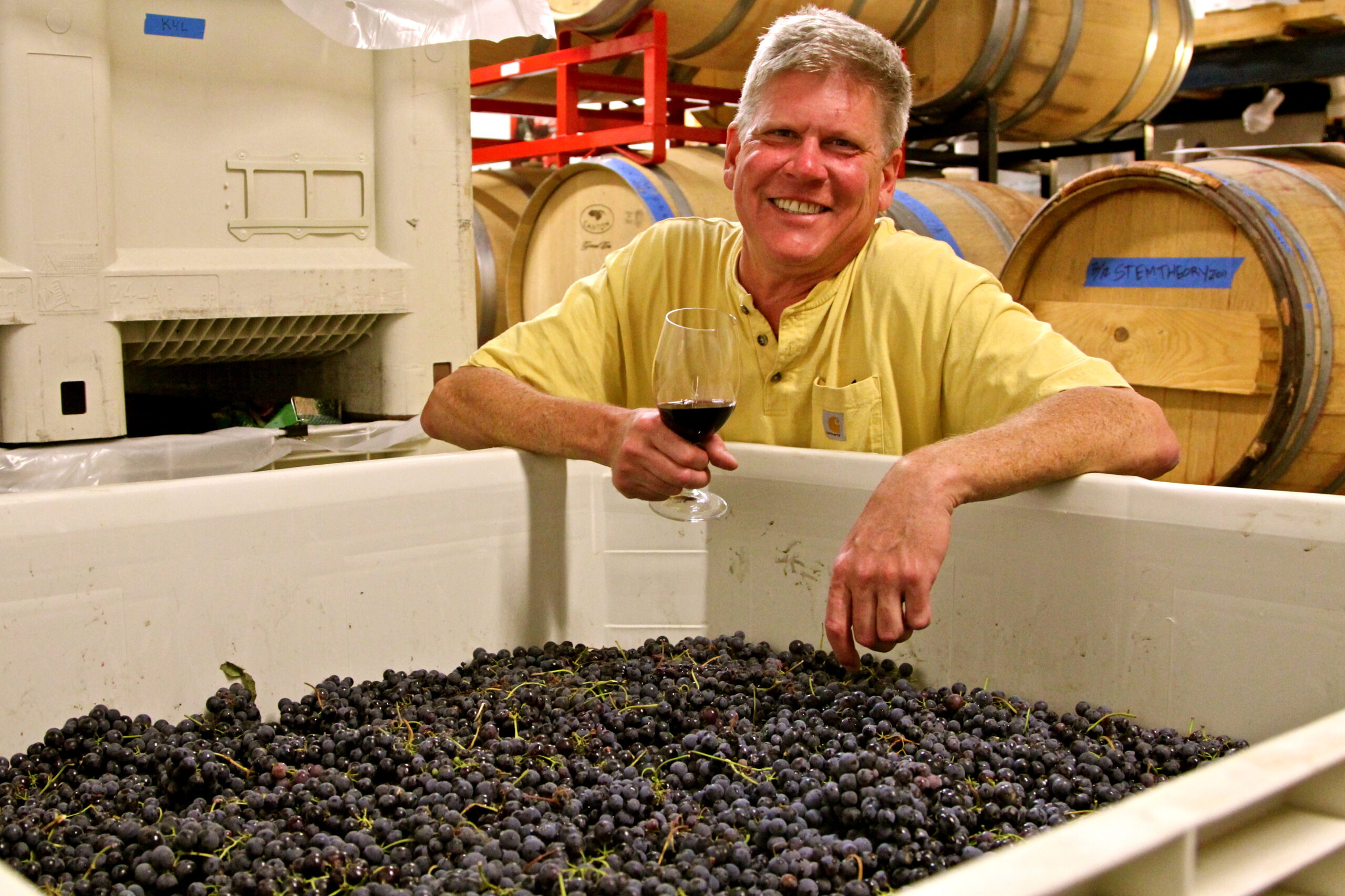 Smiling man holding a glass of red wine in a winery with wine barrels and grapes.
