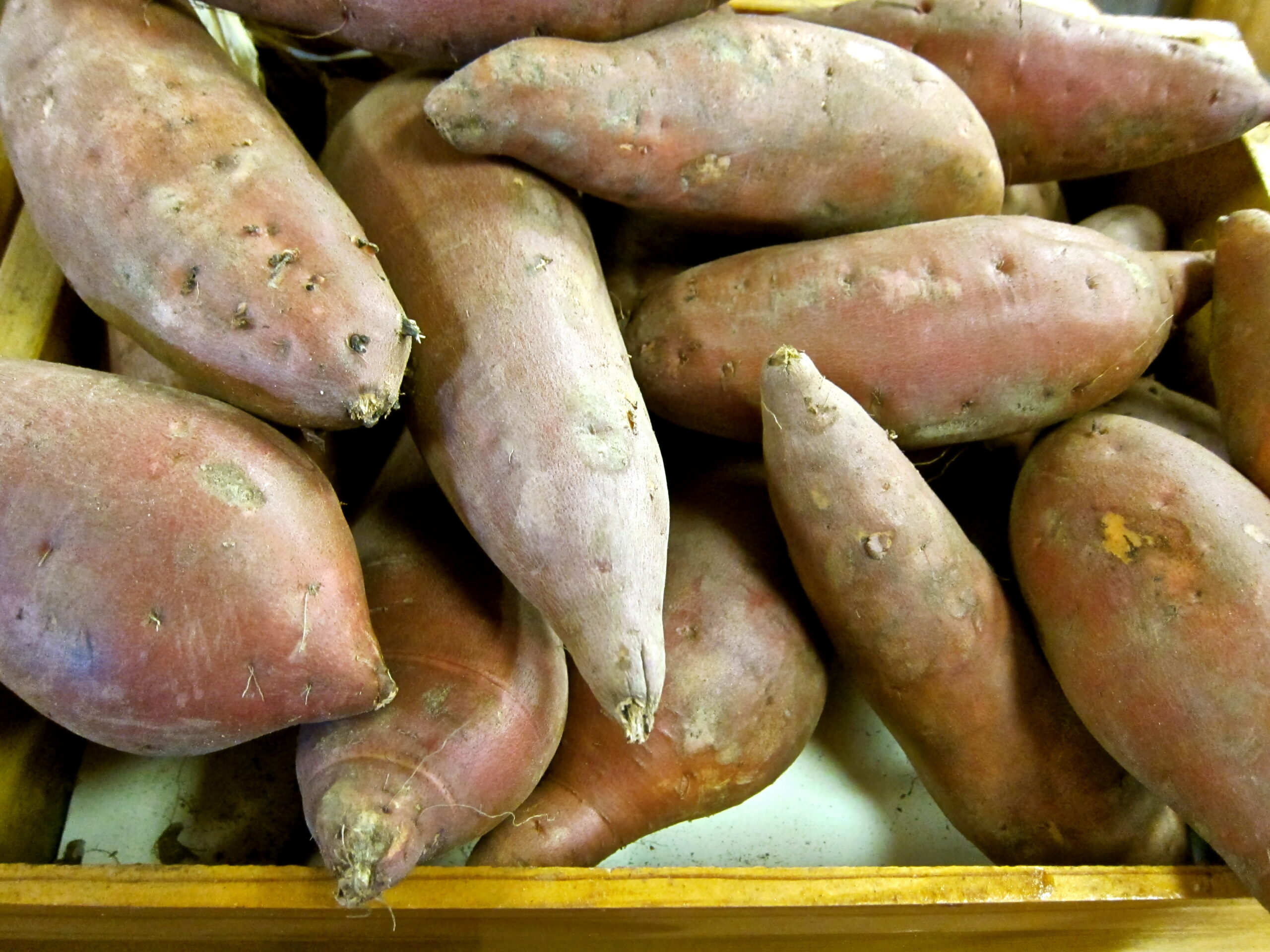 Fresh sweet potatoes at Lodi Winegrape Commission, showcasing local produce for wine and food pairing.