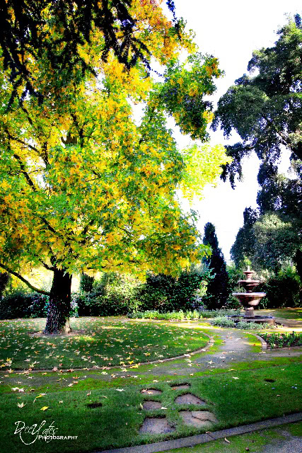 Scenic garden with large trees, fountain, and stone pathway, showcasing lush greenery and vibrant fall foliage.