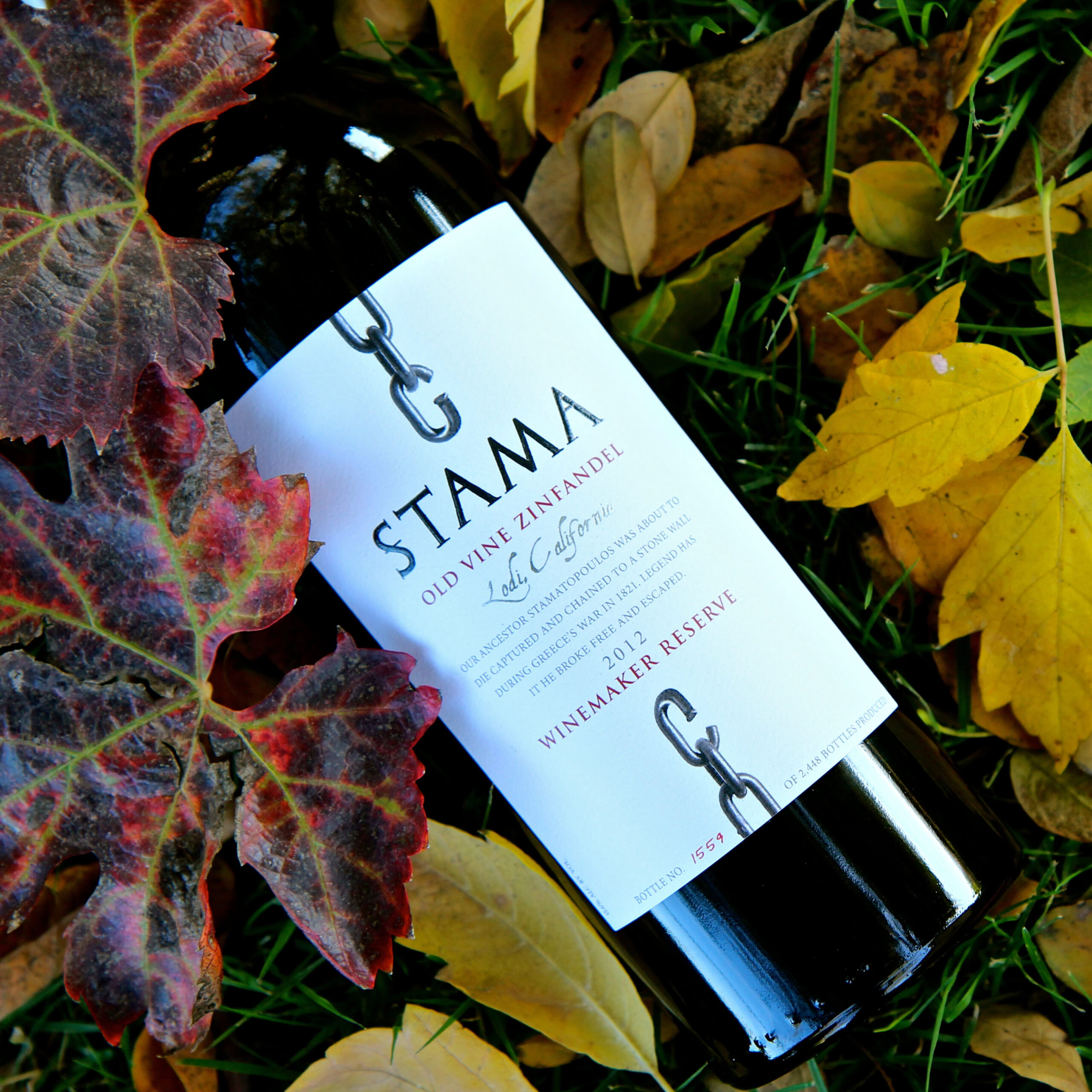 Bottle of Stama Old Vine Zinfandel wine from Lodi, California, surrounded by autumn leaves.