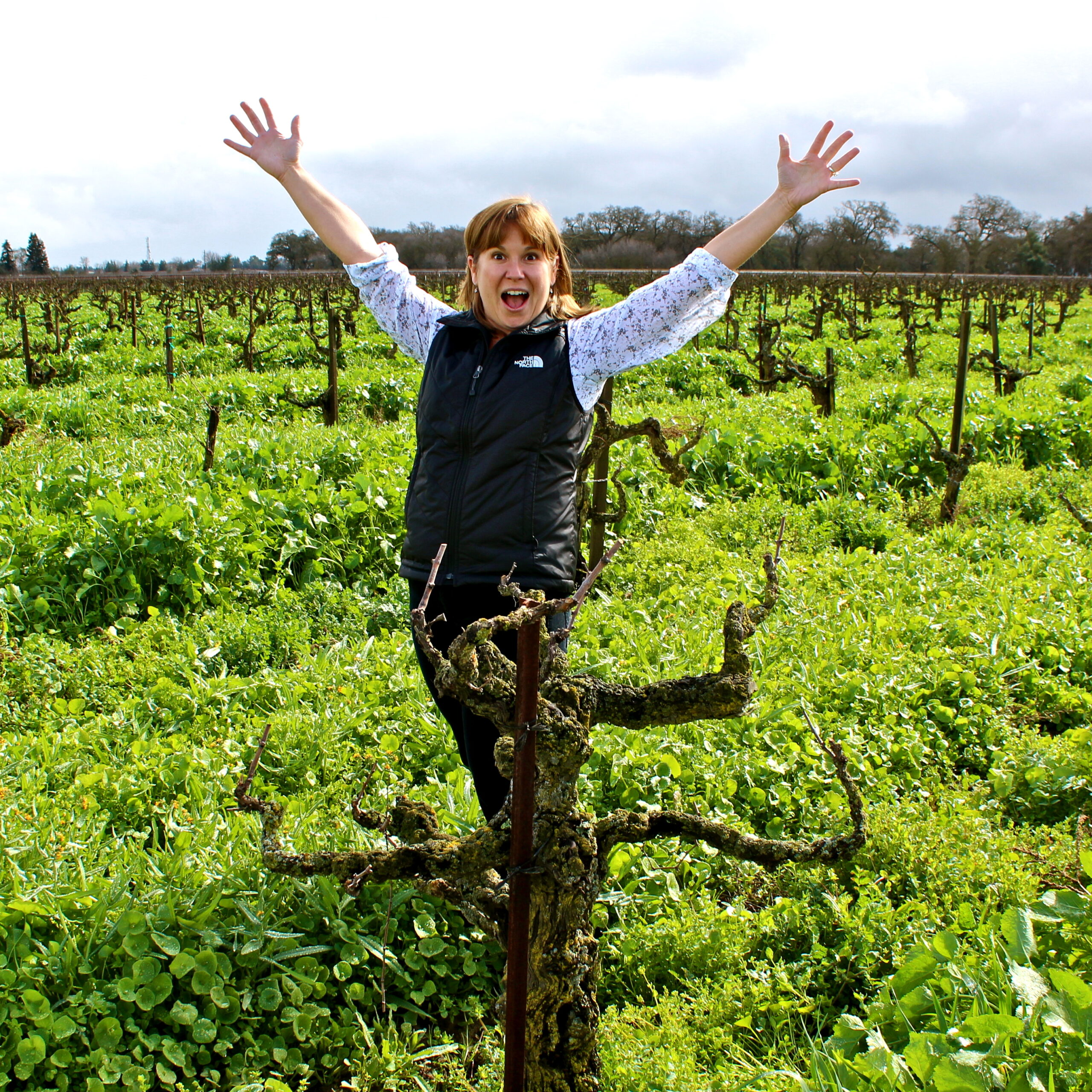 Woman standing on a vine trellis in a lush vineyard with arms raised in Lodi, California.