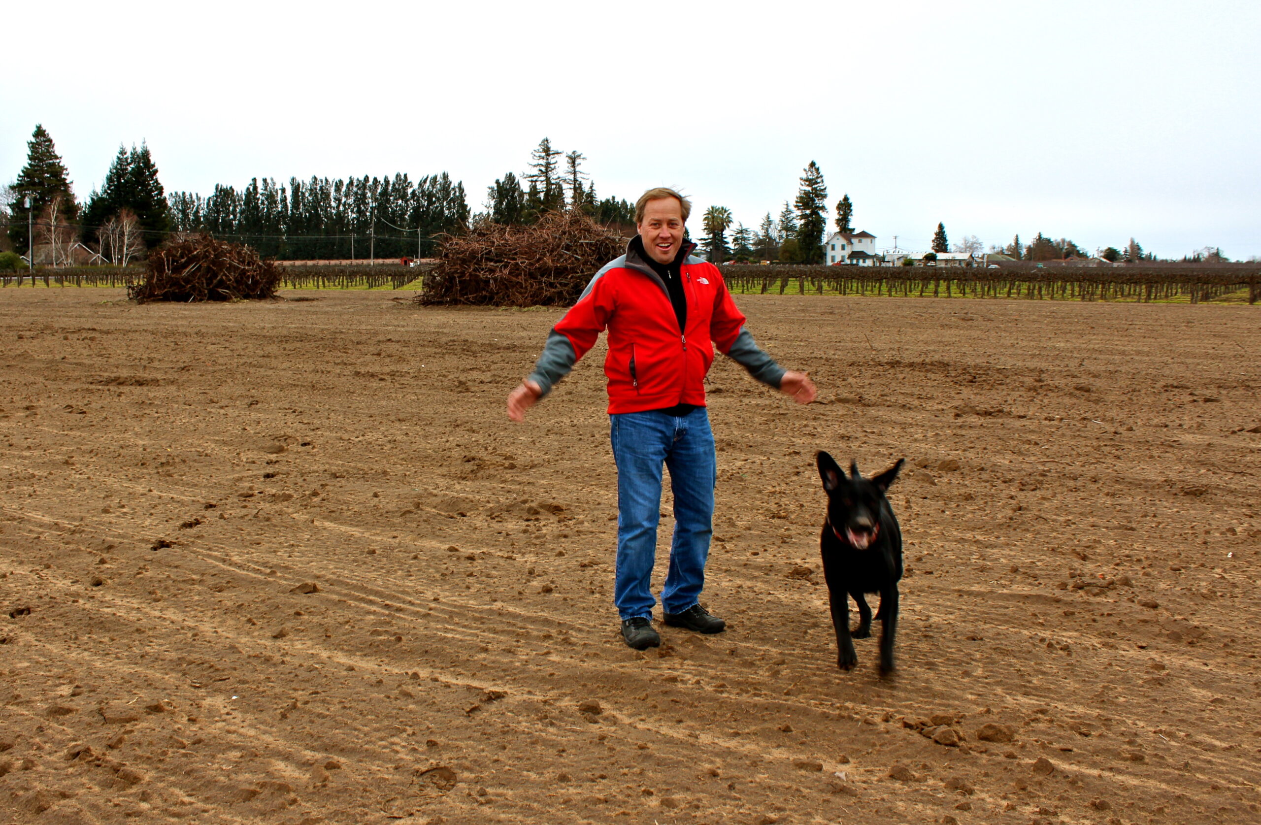 Person walking with a dog in a vineyard field during daytime, with rows of grapevines in the background.