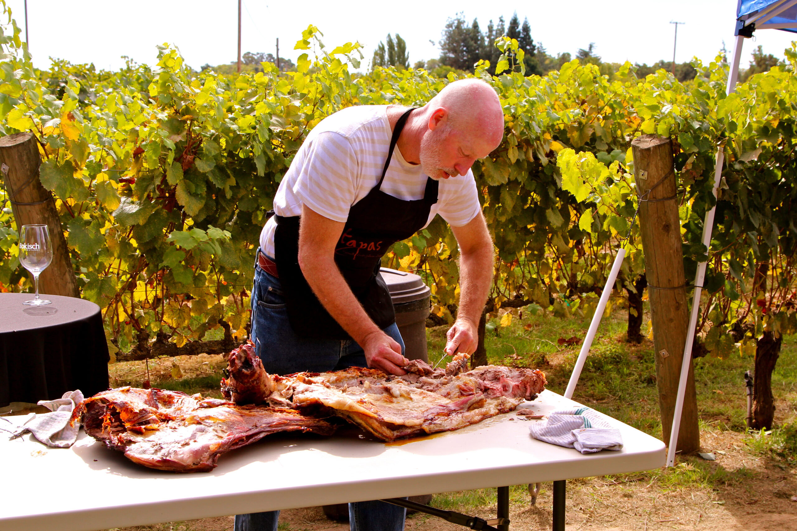 Man preparing wine grapes outdoors at Lodi Winegrape Commission event in a vineyard setting.