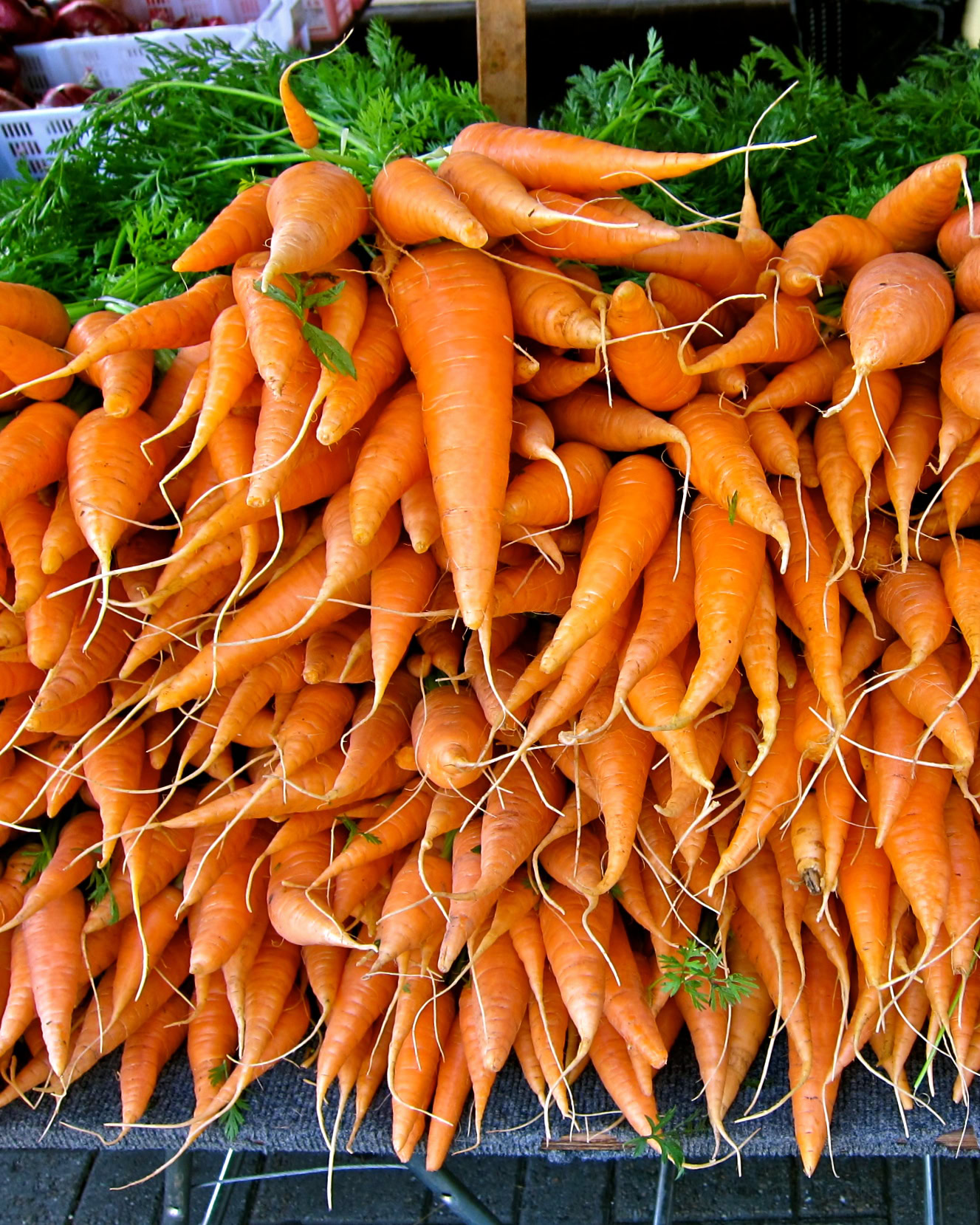 Freshly harvested carrots displayed at Lodi Farmers Market for local produce enthusiasts.