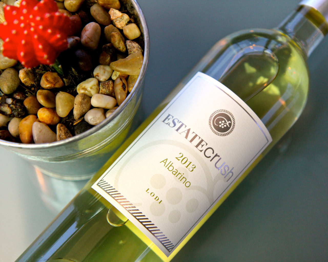 Bottle of Lodi Winegrape Commission Albariño 2013 wine with decorative plant in background.