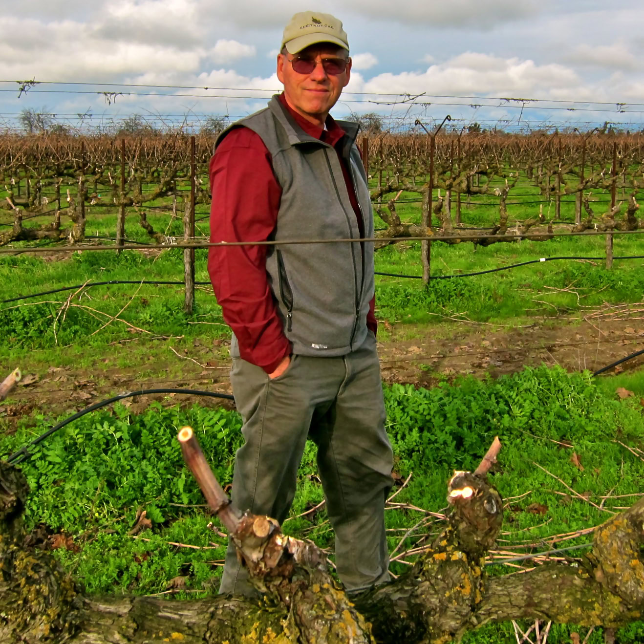 Man in vineyard with grapevines and green ground cover, wearing sunglasses, a cap, and a vest, during daytime.