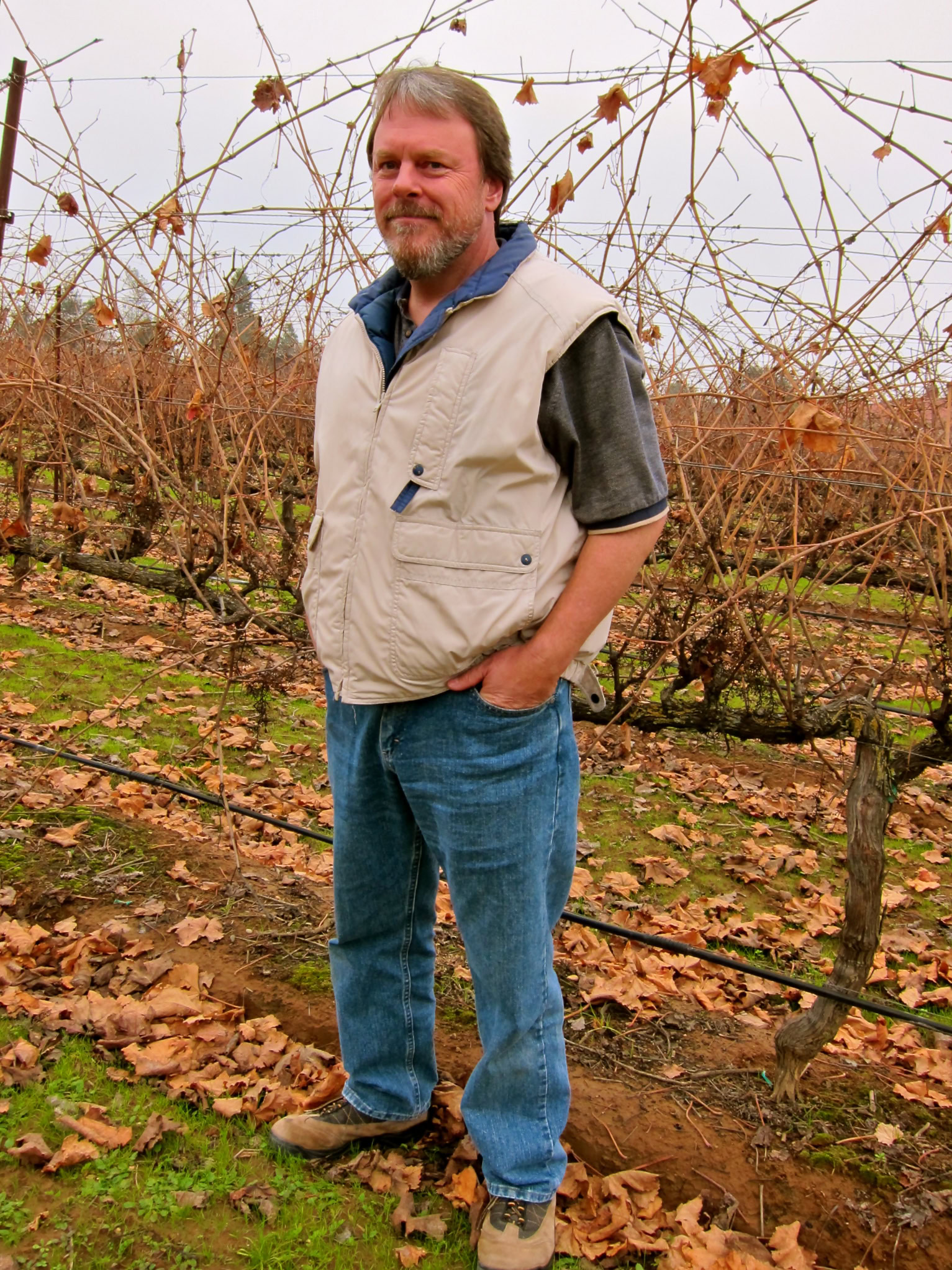 Vineyard worker in Lodi wine region standing among grapevines in fall.