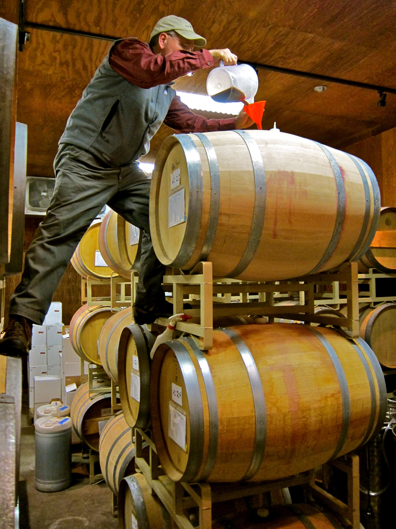 Winemaker inspecting wine barrels at Lodi Winegrape Commission facility for quality and aging process.
